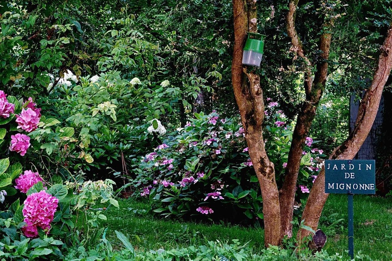 Bed and Breakfast Le Moulin De La Planche Cerelles Экстерьер фото